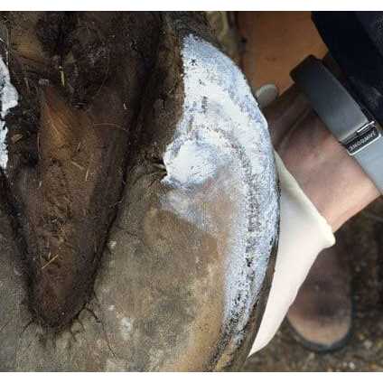 Hoof Clay 750g P29769