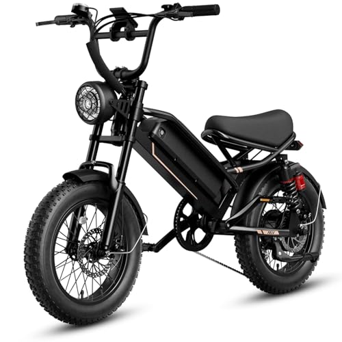 1500W 48V Removable Battery 16'' Fat Tire Full Suspension Electric Bike C5293