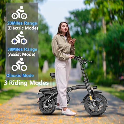 14" Mini Folding Electric Bike with 48V12AH Removable Battery L5387