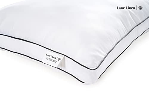 King Size Set of 2 White Down Alternative Pillows U424