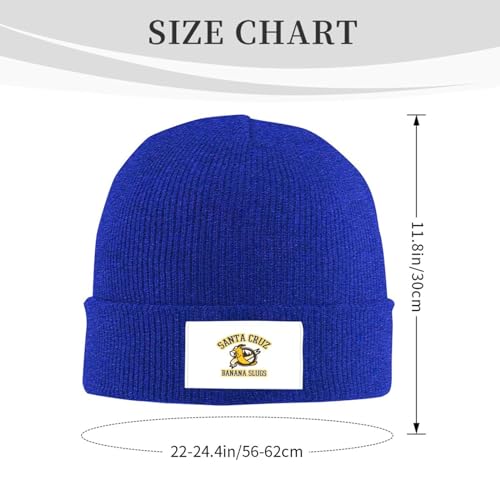 Classic Warm Winter Knit Fleece Lined Beanie Hat L49525