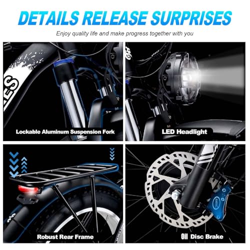 2000W Electric Bike with 48V 20AH Battery 26x4.0 Fat Tire Mountain E Bike Dual Motor 21-Speed Dual Hydraulic Disc Brake H79062