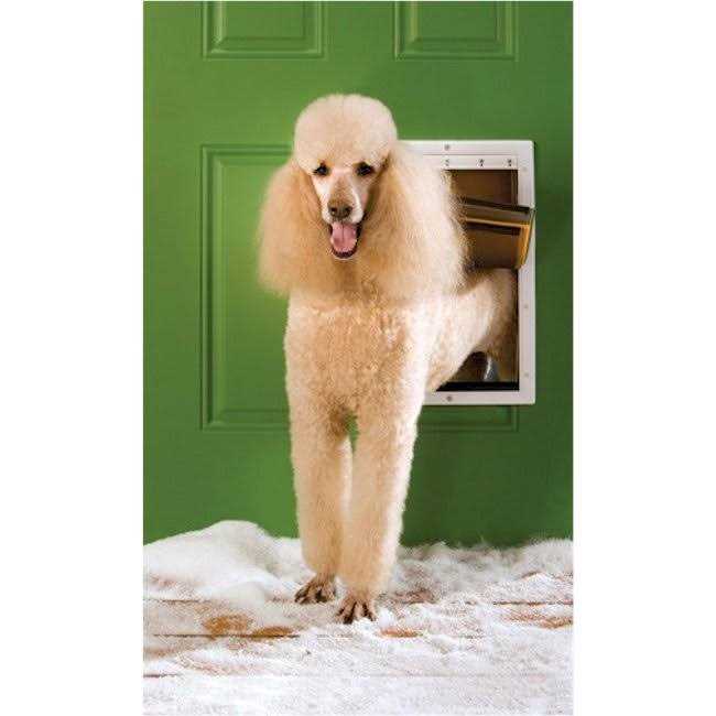 Extreme Weather Pet Door F678293