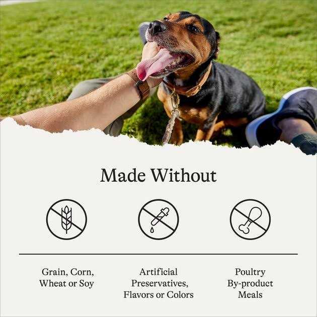 Limited Ingredient Grain-Free Sweet Potato Recipe Dry Dog Food C95879