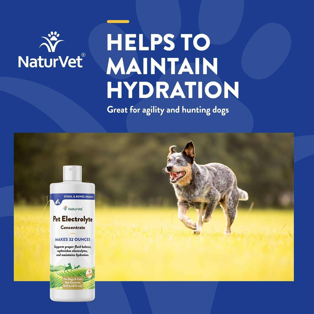 16 oz Pet Electrolyte Concentrate X38724