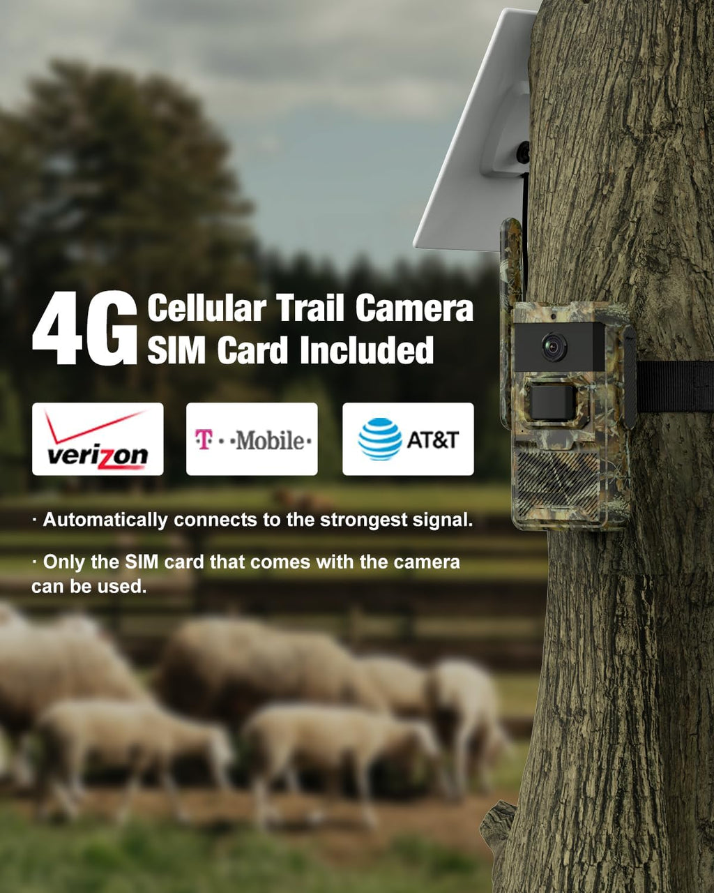 4G LTE Cellular Trail Camera with Solar Power D365