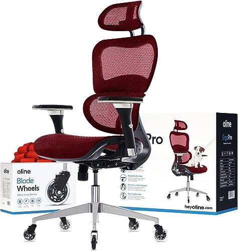 Ergonomic Office Chair with 4D Adjustable Armrest, Mesh (Black) Y871