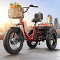 Electric Trike 20" Fat Tire 3 Wheel Folding Electric Tricycle R3621
