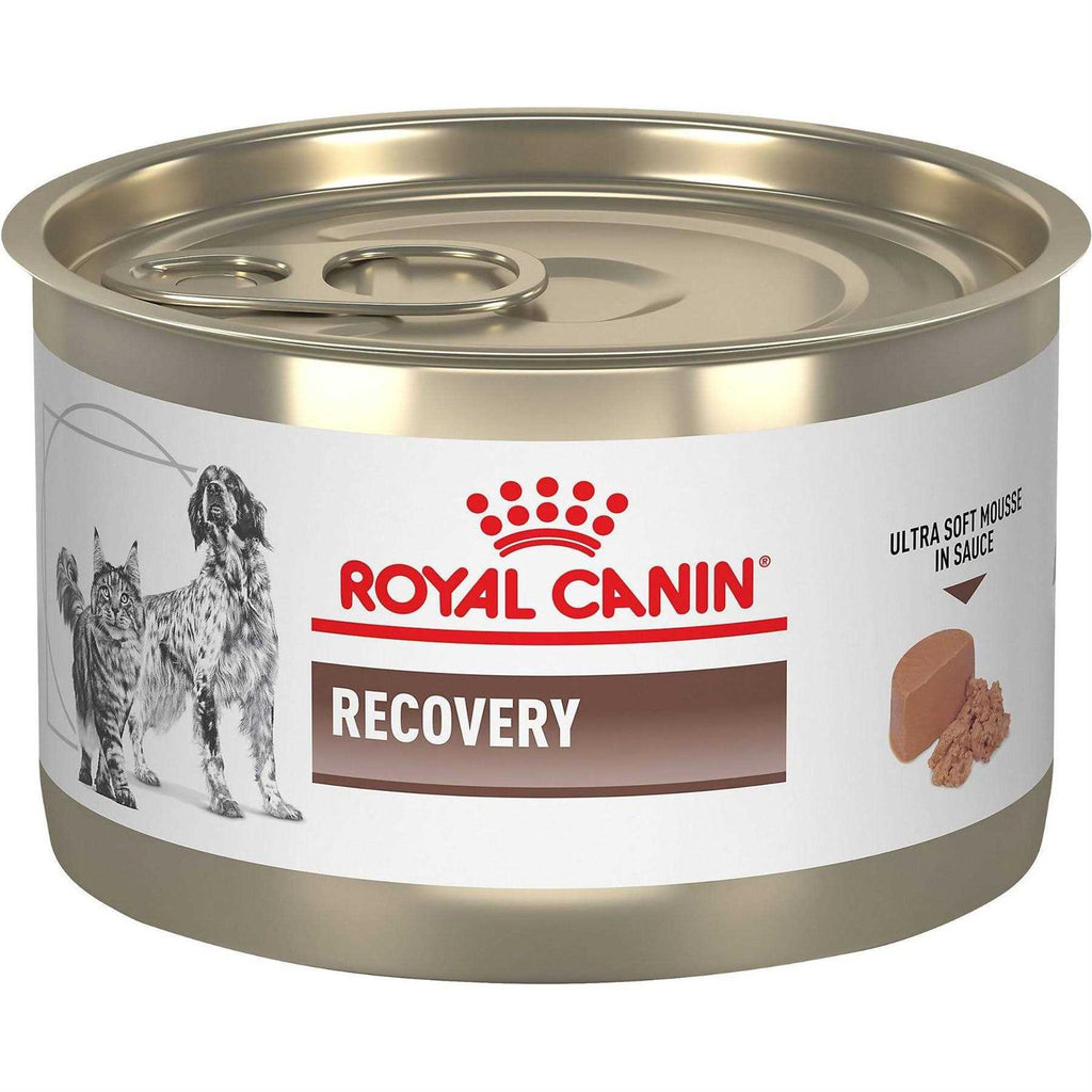 Recovery Ultra Soft Mousse in Sauce Wet Dog & Cat Food B5398