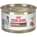 Recovery Ultra Soft Mousse in Sauce Wet Dog & Cat Food B5398