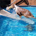 Pool Bundle U92427