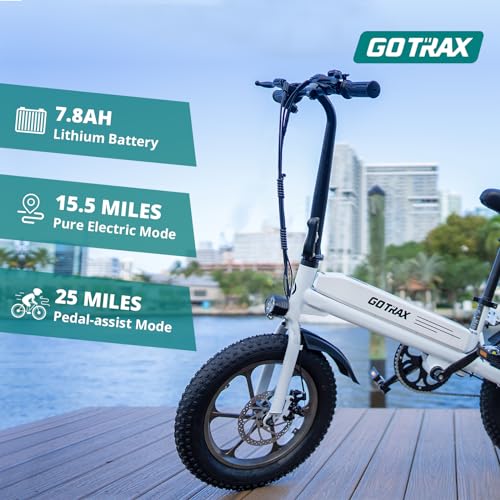 16x3.0 Fat Tire Folding Electric Bike with Removable Battery O554160