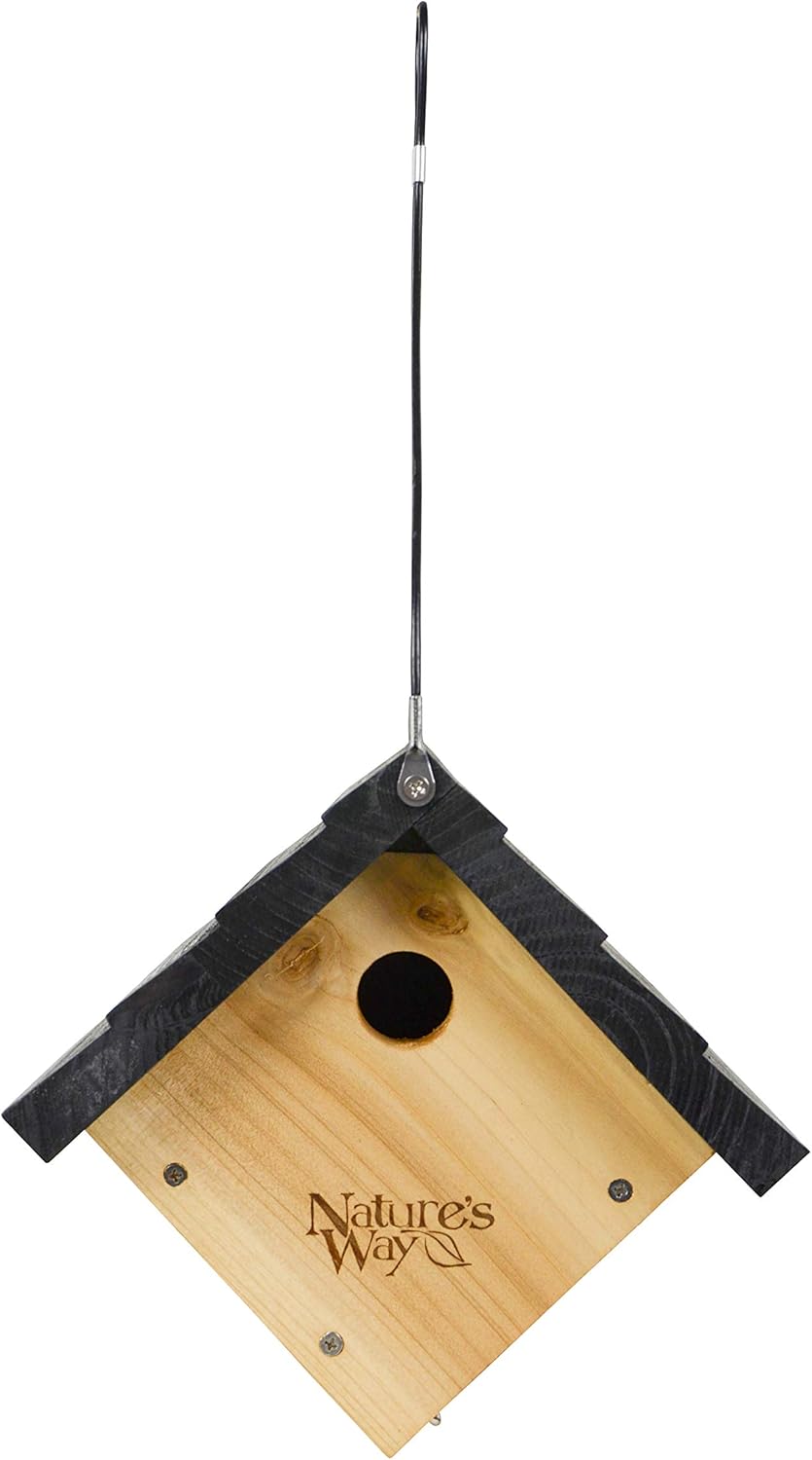 Cedar Wren House I671