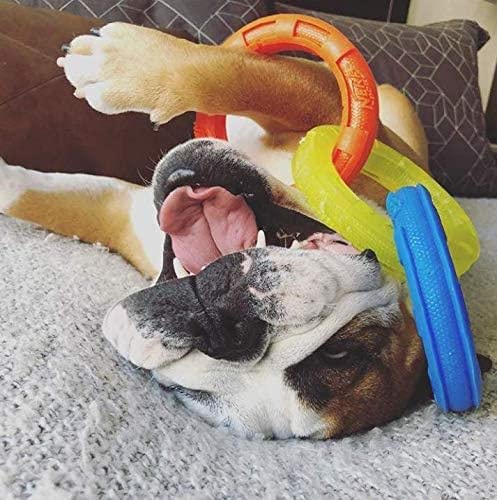 10.5in Rubber 3-Ring Tug Dog Toy, Blue/Green/Orange T467989