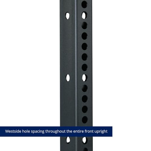 82-inch Wall Mounted Folding Power Rack Y2754