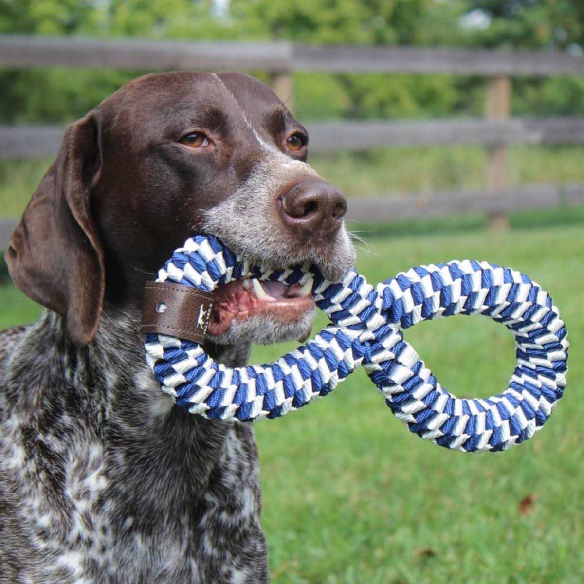 Braided Infinity Tug Toy Q4681