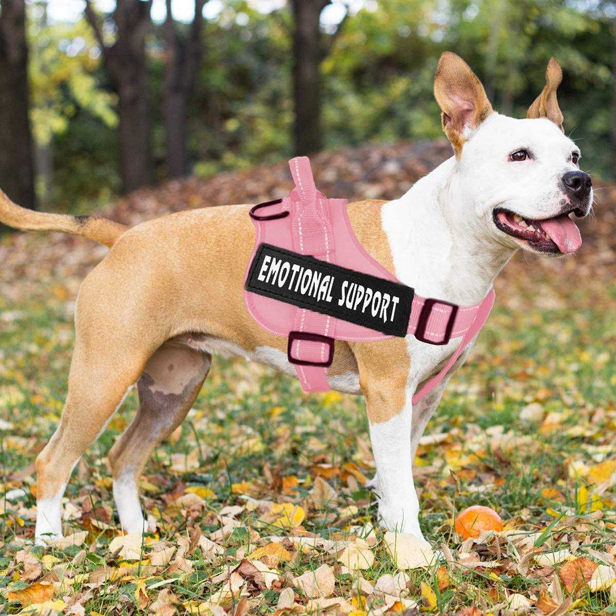 Reflective Adjustable No-Pull Dog Harness K404126