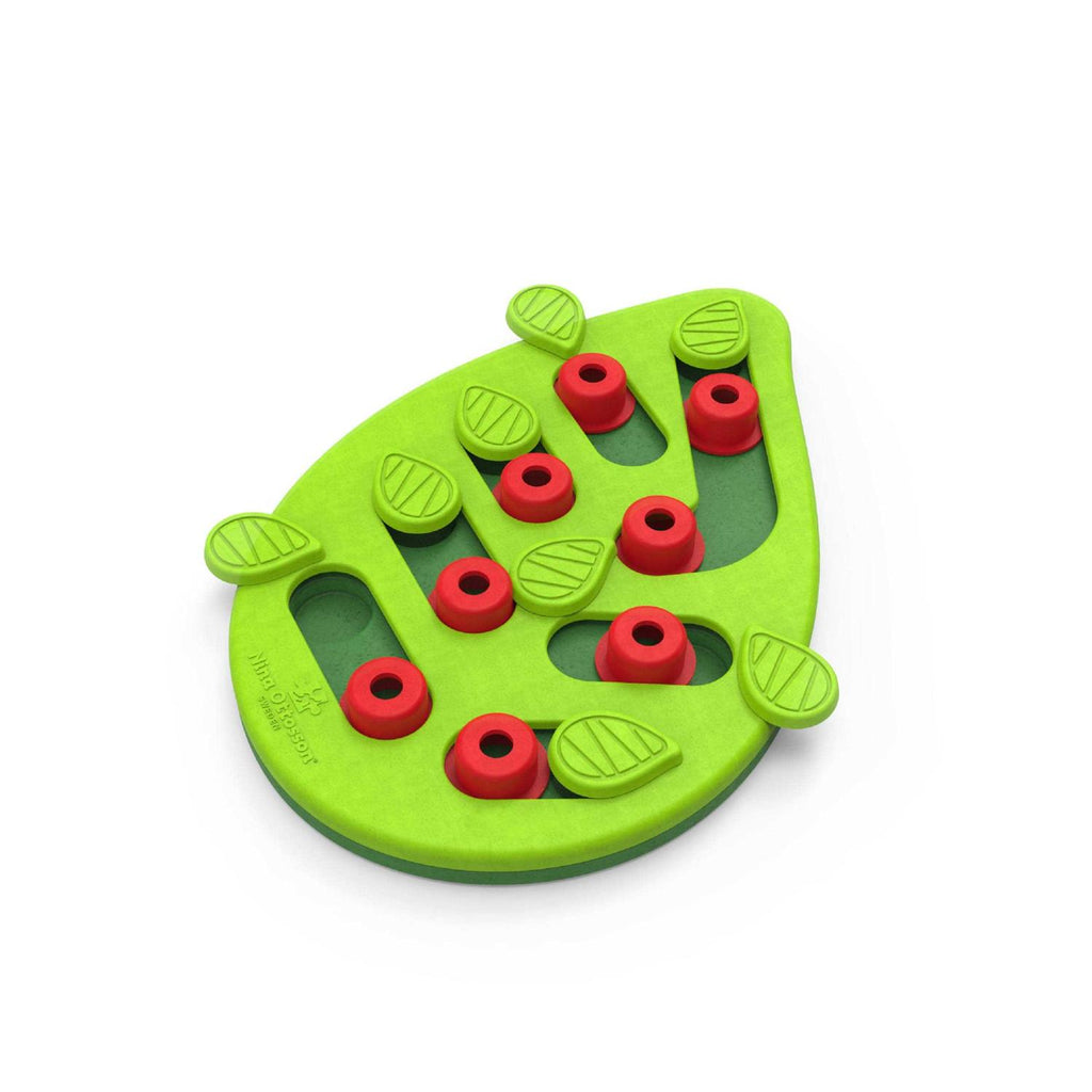 Cat Toy O65623