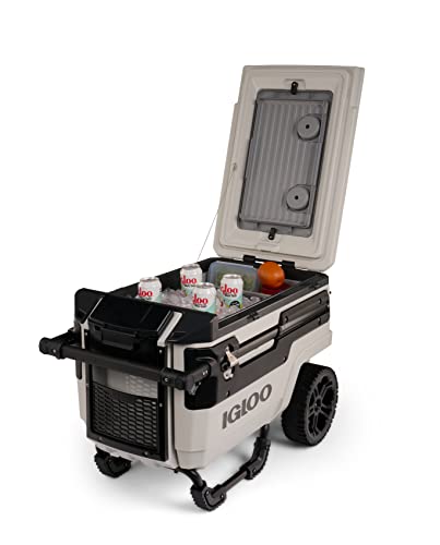 70 Qt Coolers Y850