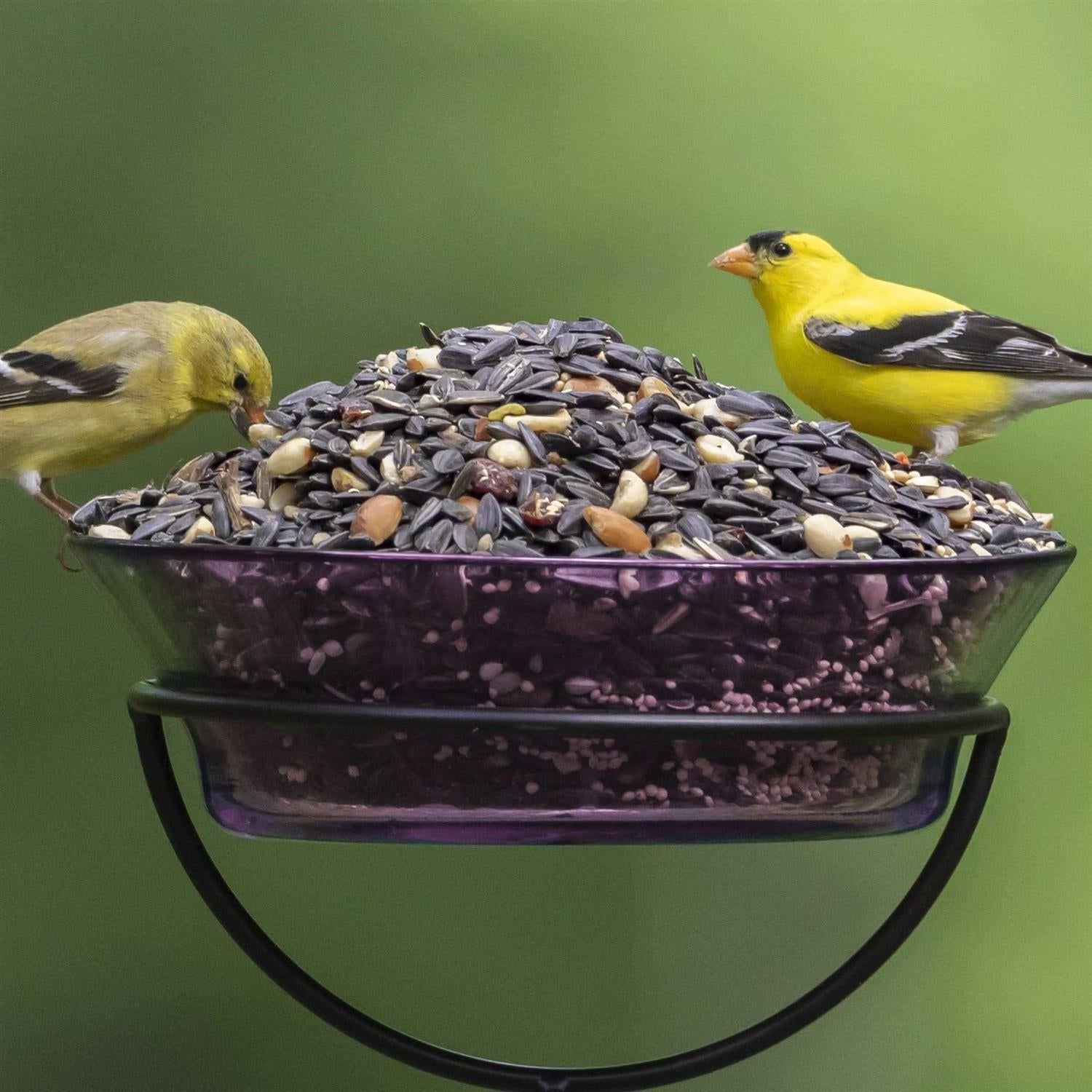 Nut Fruit & Berry Wild Bird Food T5571