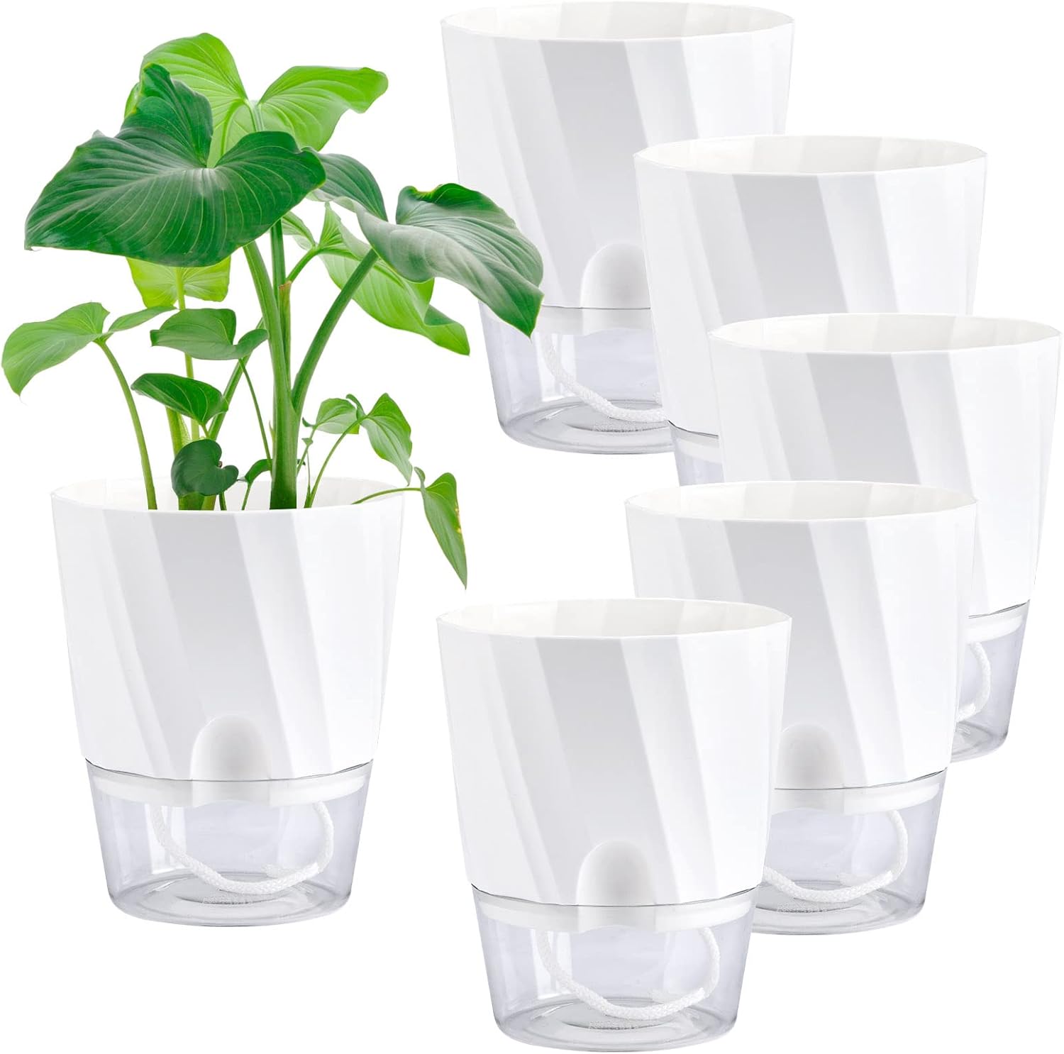 6 Pack Self Watering White Plant Pots Q7424