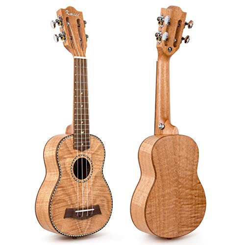 Soprano Ukulele 21 Inch Mahogany Starter Kit F962568