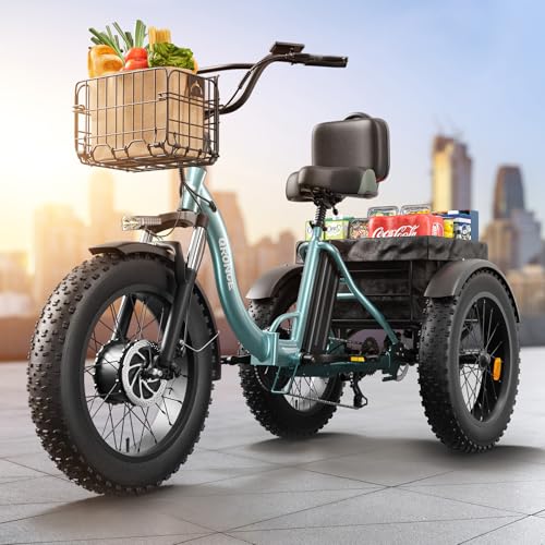 Electric Trike 20" Fat Tire 3 Wheel Folding Electric Tricycle R3621