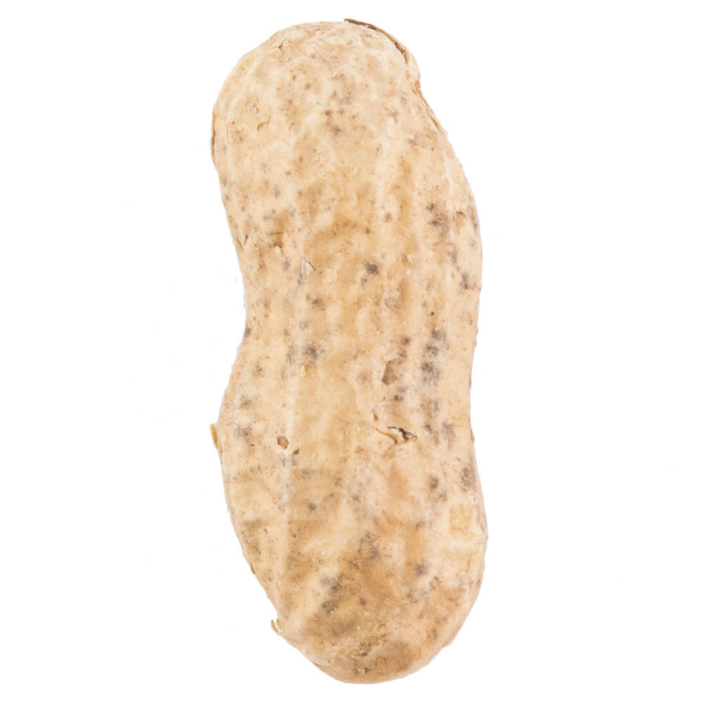 25 lb. Roasted Unsalted In-Shell Peanuts E5319