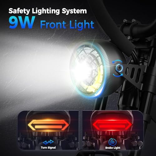 1500W 48V Removable Battery 16'' Fat Tire Full Suspension Electric Bike C5293