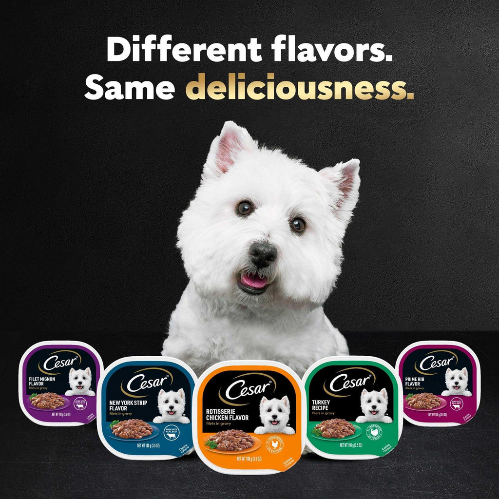 Gourmet Filets in Sauce Filet Mignon Dog Food M20604