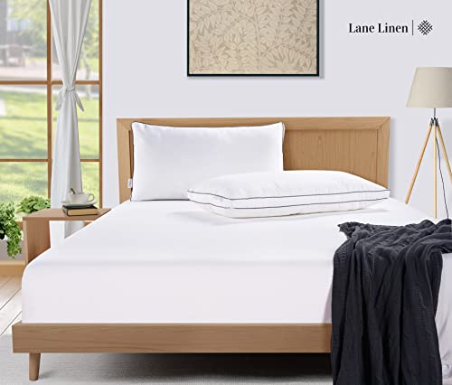 King Size Set of 2 White Down Alternative Pillows U424