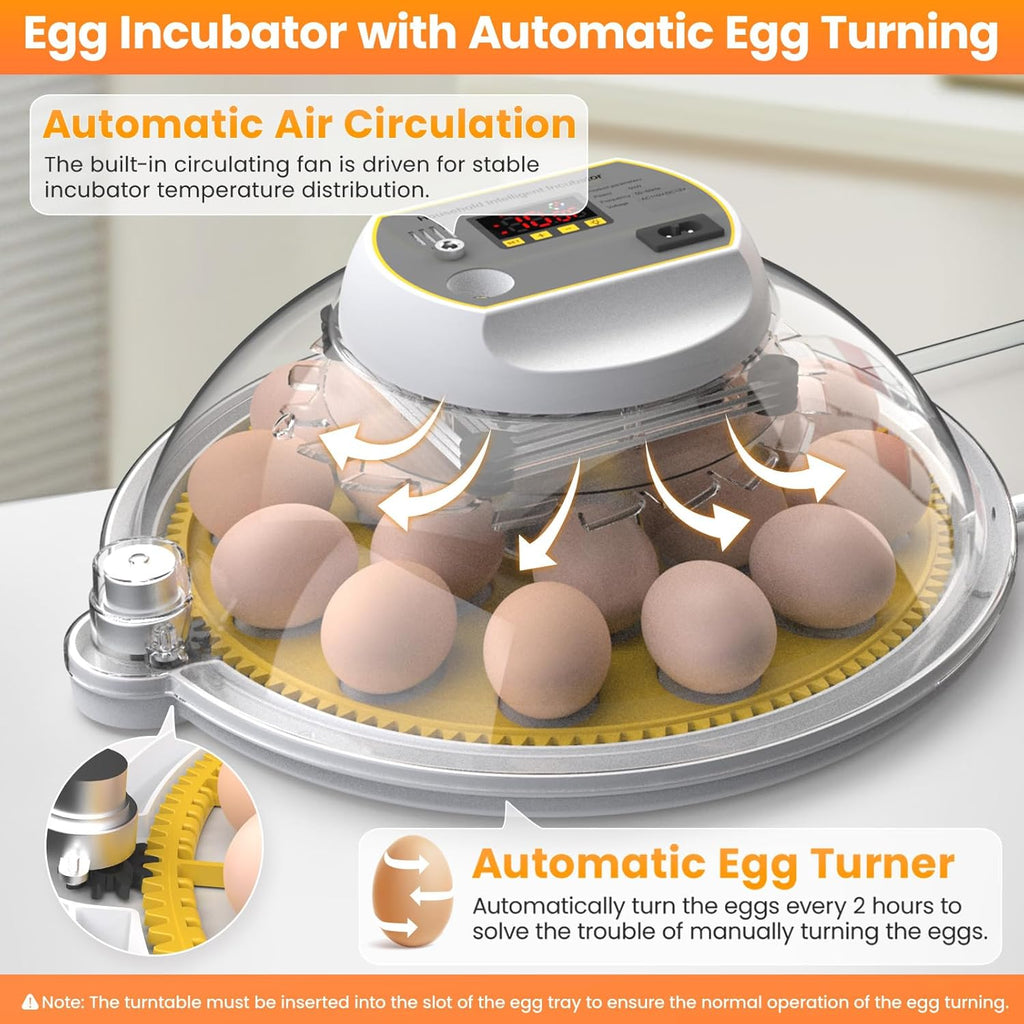 18-60 Eggs Incubator with Automatic Egg Turning and Auto Water Adding N953685