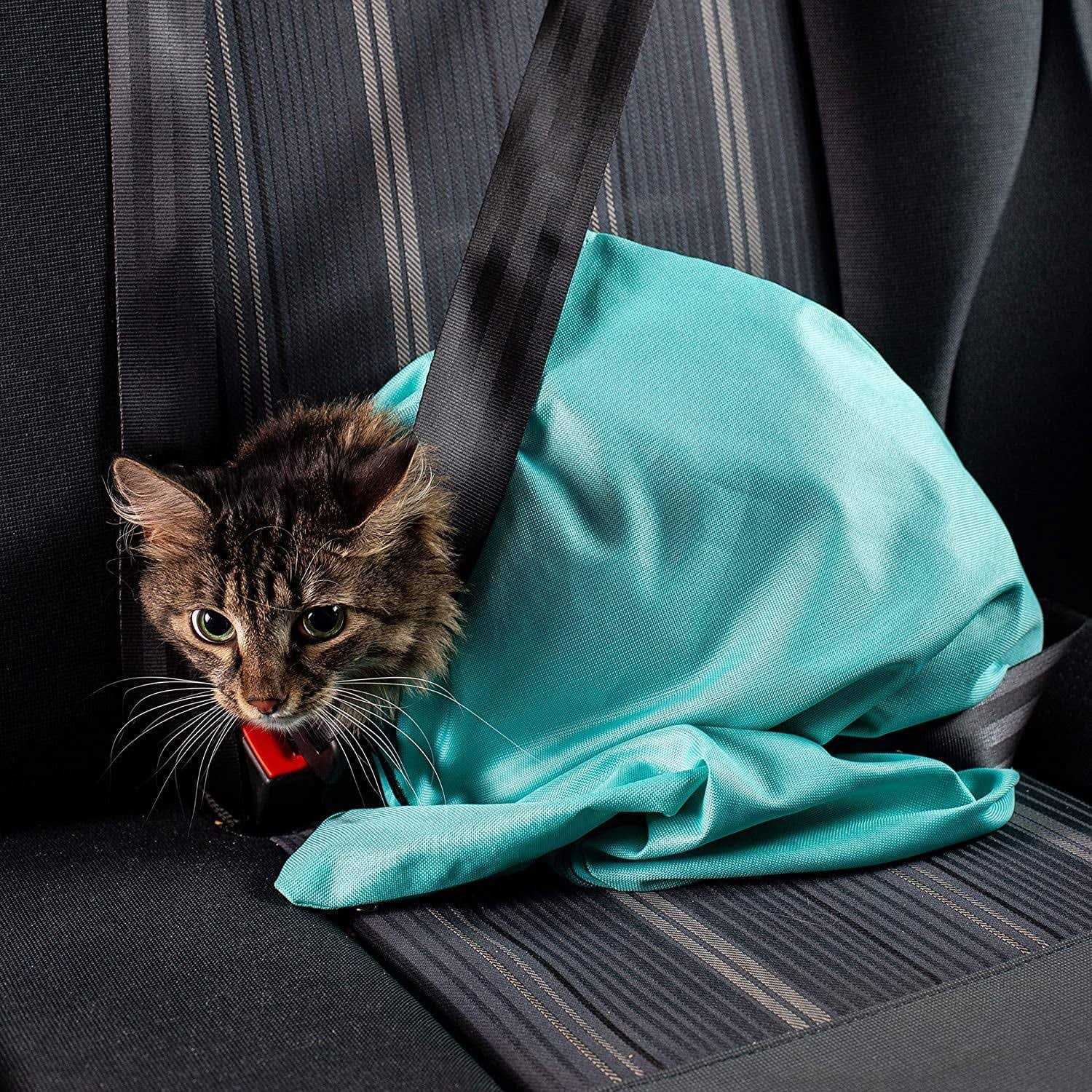 Comfy Soothing Cat Carrier D2191