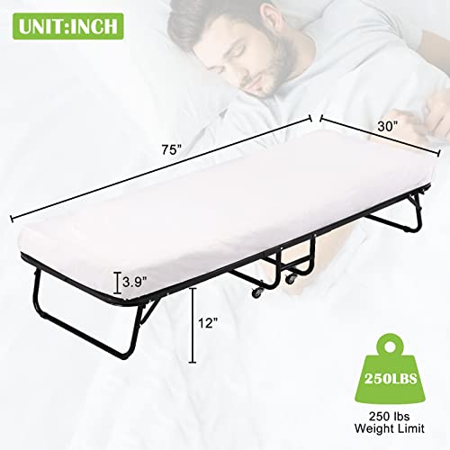 Folding Bed Frame J913