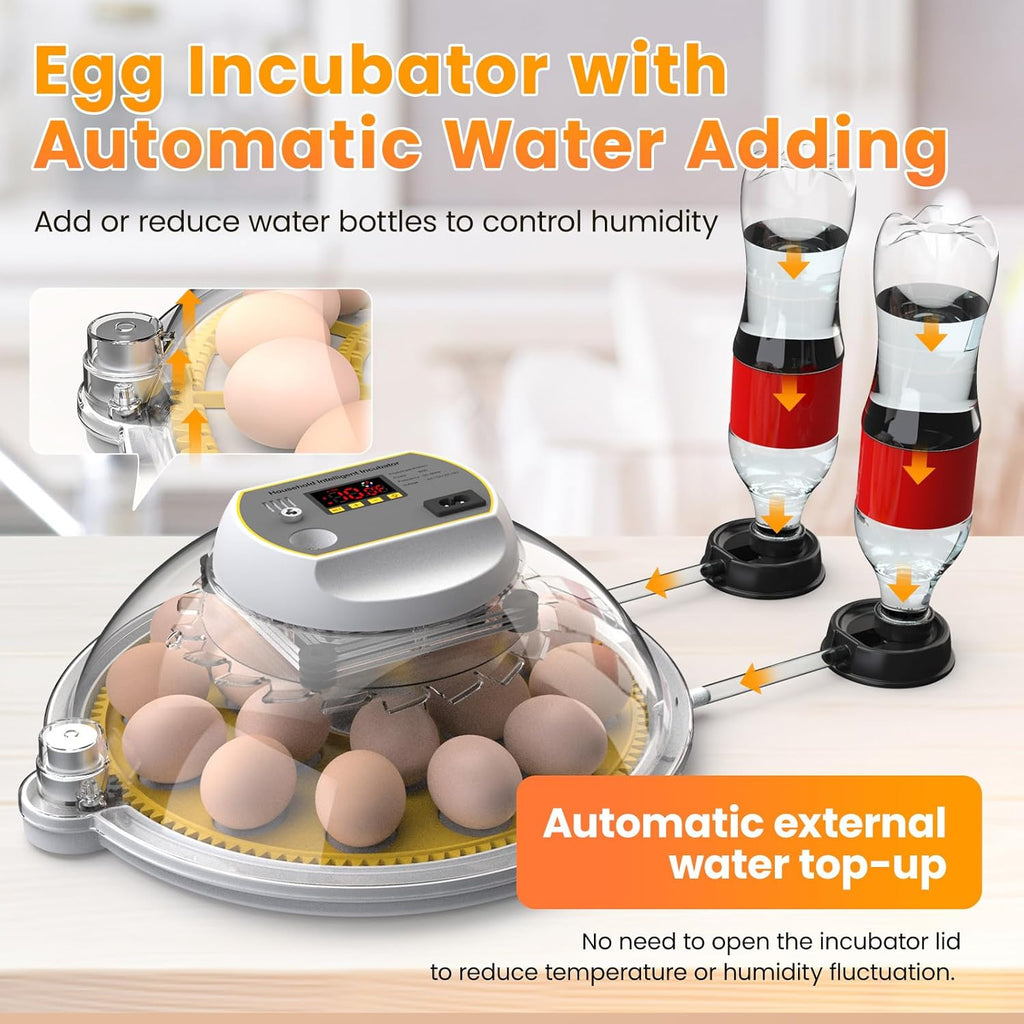 18-60 Eggs Incubator with Automatic Egg Turning and Auto Water Adding N953685