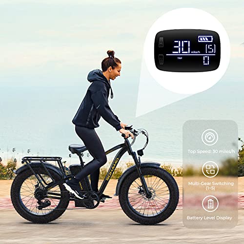 26" Fat Tire Electric Mountain Bike with 48V Removable Battery J731