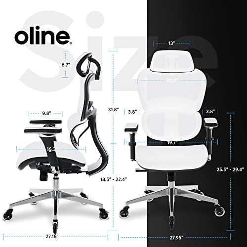 Ergonomic Office Chair with 4D Adjustable Armrest, Mesh (Black) Y871