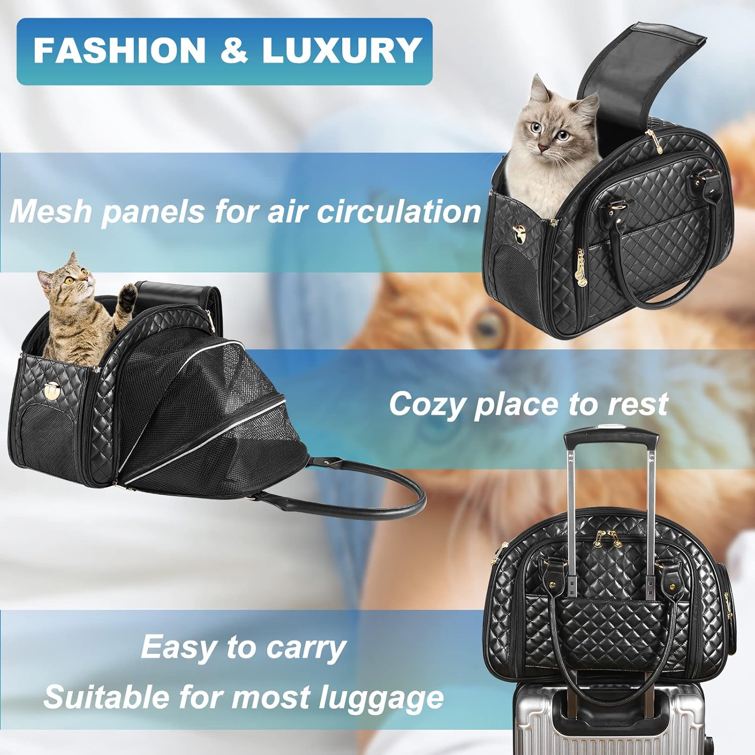 Black PU Leather Small Dog Carrier Y52532