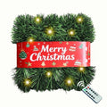 30 Feet 50 LED Battery Operated Pre-Lit Green Garland M3497