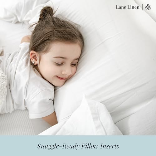 King Size Set of 2 White Down Alternative Pillows U424