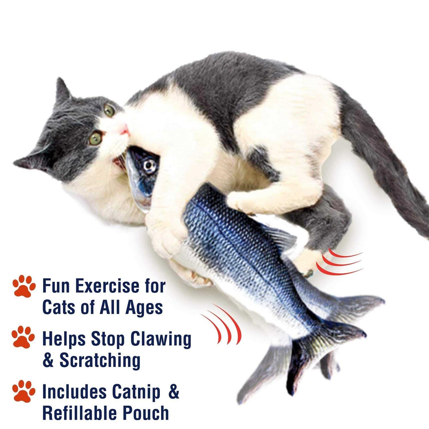 Cat Toy F605
