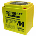 Factory Activated Maintenance Free AGM Battery L49909