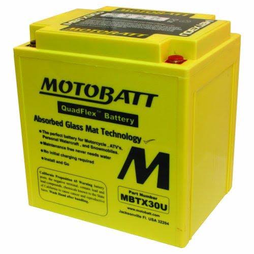 Factory Activated Maintenance Free AGM Battery L49909