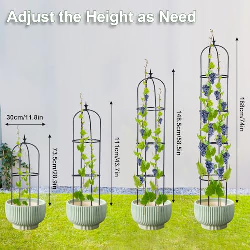 2 Pack 6ft Garden Obelisk Trellis for Climbing Plants J136