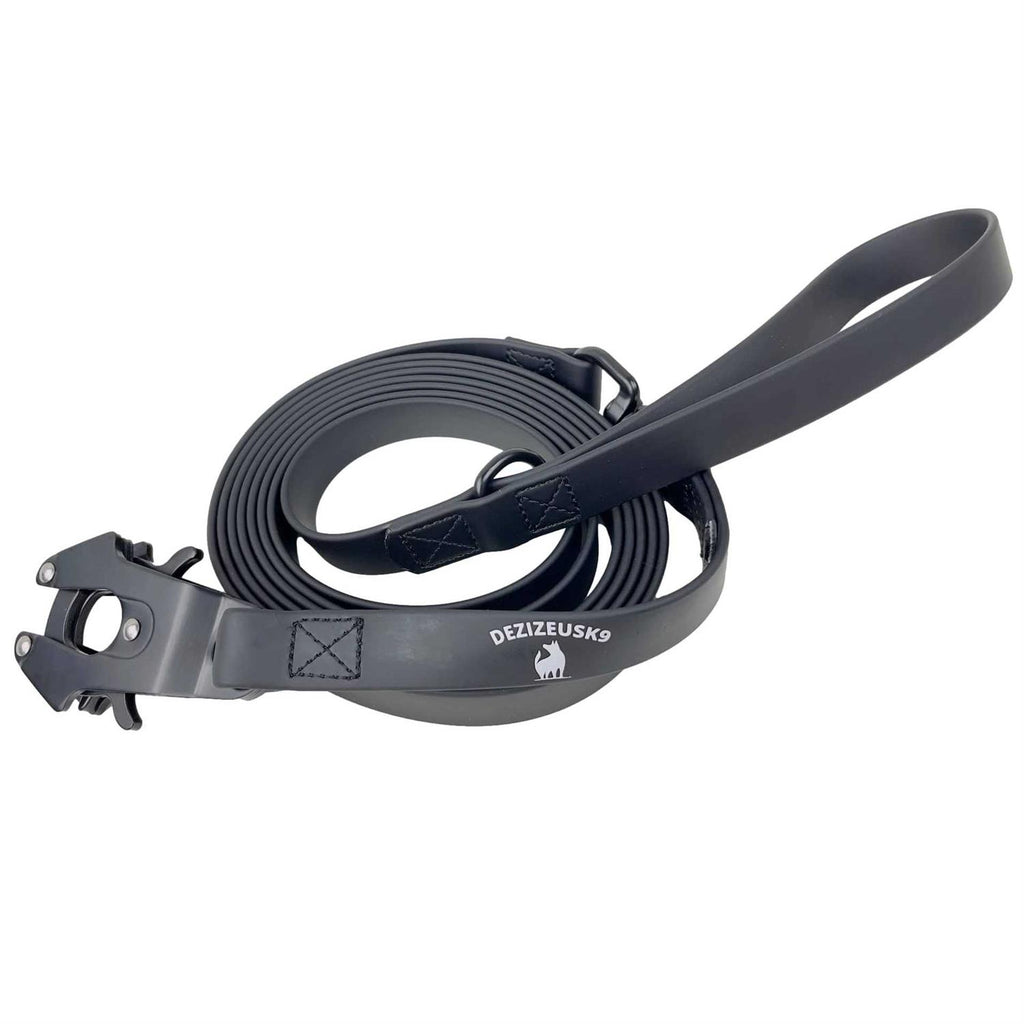 Heavy Duty Dog Leash with Quick Release Locking Carabiner Clasp N627
