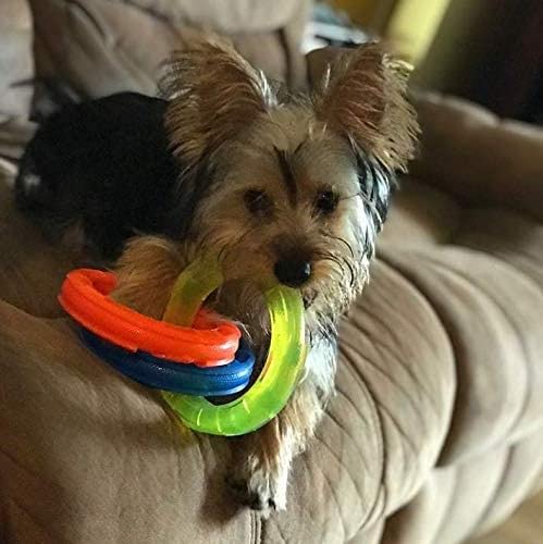 10.5in Rubber 3-Ring Tug Dog Toy, Blue/Green/Orange T467989