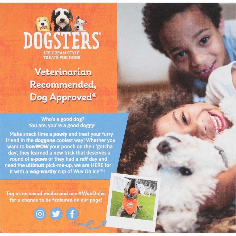 Ice Cream Style Treats for Dogs K9866
