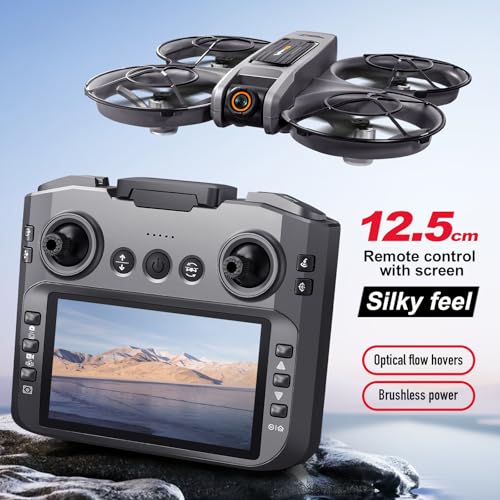 RC Drone with Screen On Controller, Brushless Motor Drone with Dual Cameras H1469