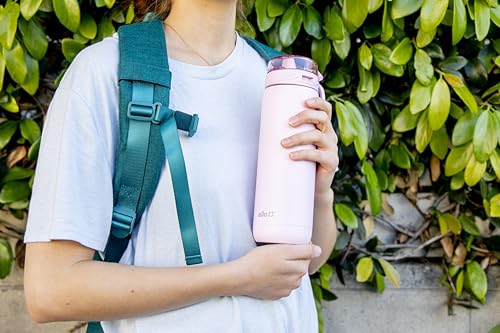 32oz Stainless Steel Water Bottle with Straw and Carry Handle W64741