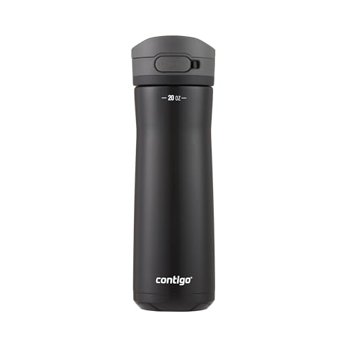 Stainless Steel Water Bottle with Carry Handle and Secure Lid, Vacuum-Insulated and BPA-Free, Licorice, 20 oz U25532
